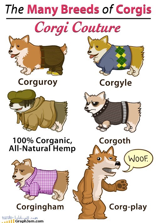 All of Them Adorably Derpy
