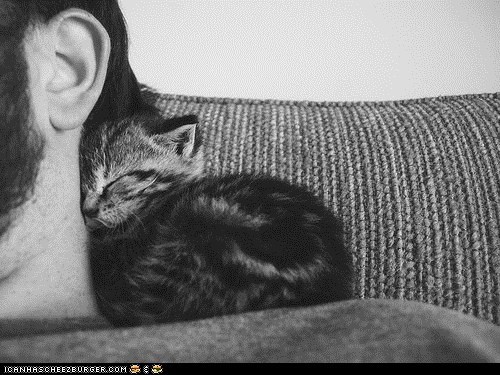 Cyoot Kitteh of teh Day: Neck Nook