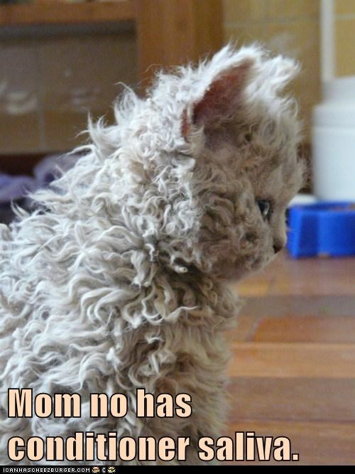 Mom no has conditioner saliva.