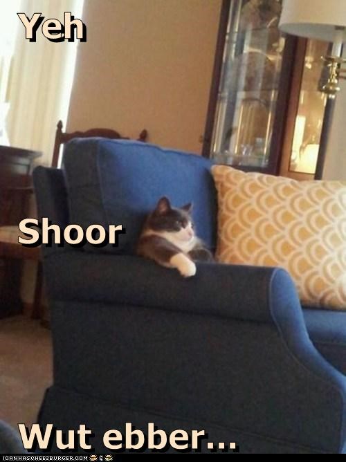Yeh  Shoor  Wut ebber...