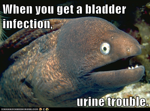 Bad Joke Eel: European