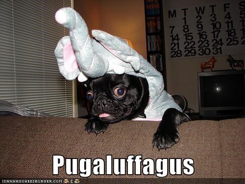 I Has A Hotdog: New Sesame Street Character...
