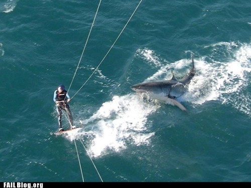 Water Skiing FAIL