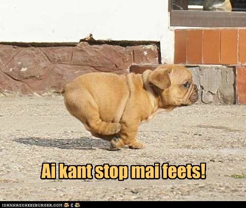 Cyoot Puppy ob teh Day: Got no braeks!