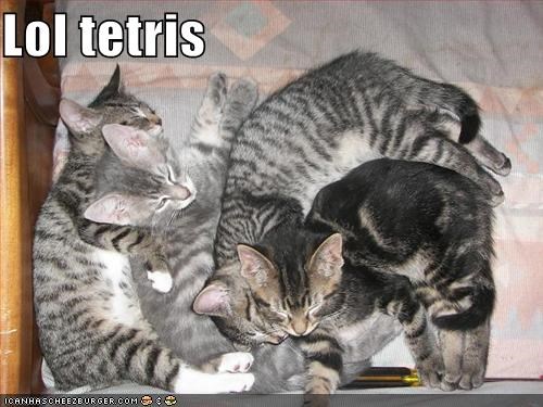 Lol tetris