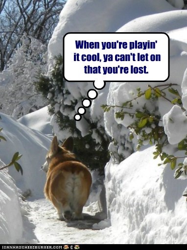 Playin it Cool 