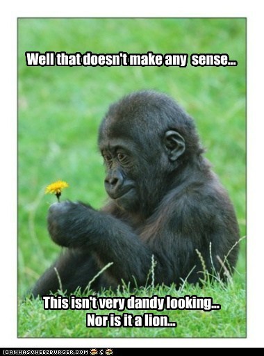 I Will Never Understand Human Logic
