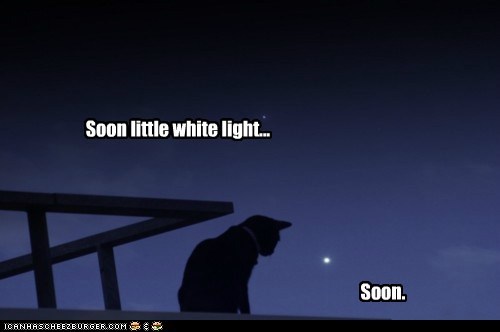 Until then I will practice on that annoying little moving red light in the living room