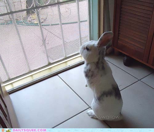 Reader Squees: Mailman! Hurry!