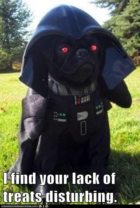 I find your lack of treats disturbing.