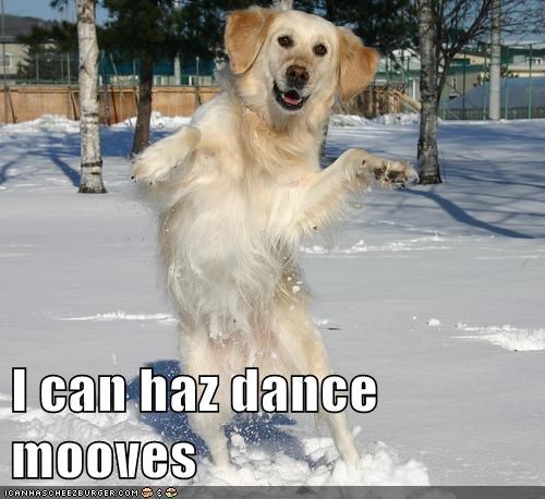 I can haz dance mooves