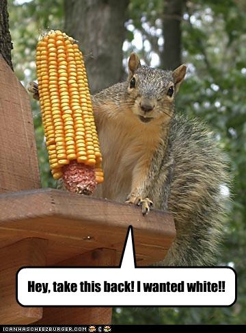 Picky, Picky