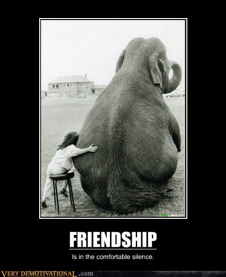 FRIENDSHIP