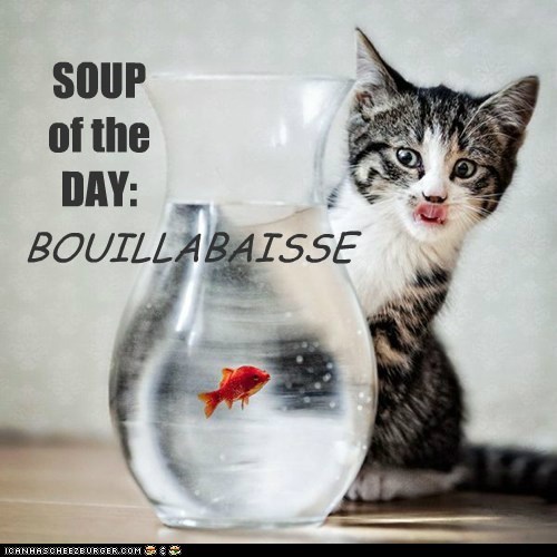 SOUP of the DAY: