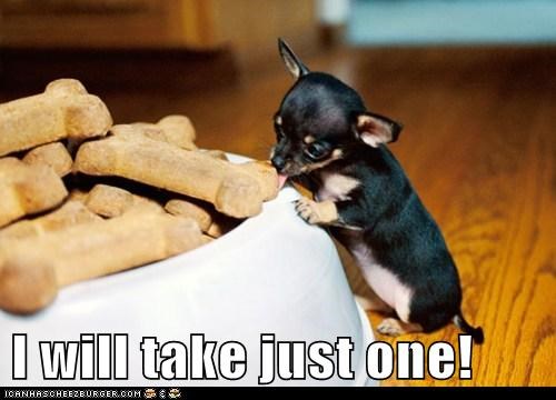 I Has A Hotdog: Just One?
