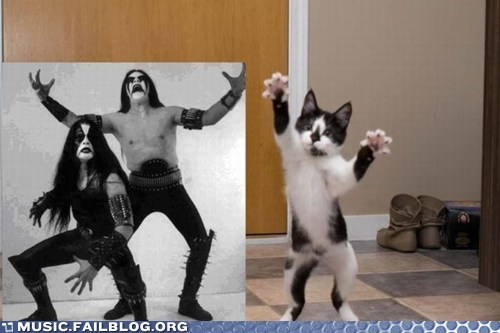 Music FAILS: The Immortal Cat