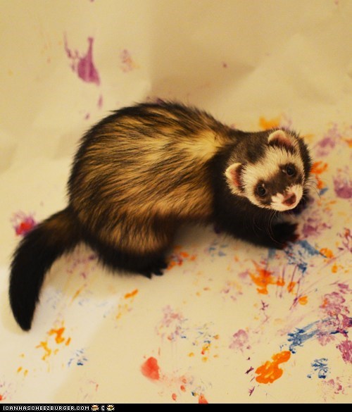 Daily Squee: Modern Ferret Art