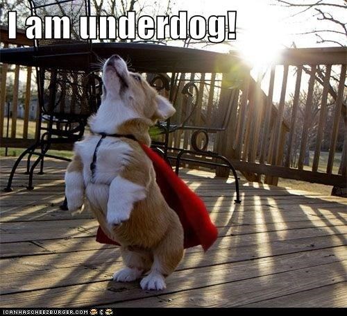 I am underdog!