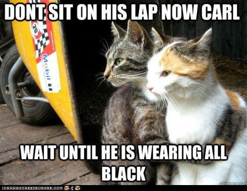 Restraining Cat: Otherwise He Won't Be Able to See Your Fur