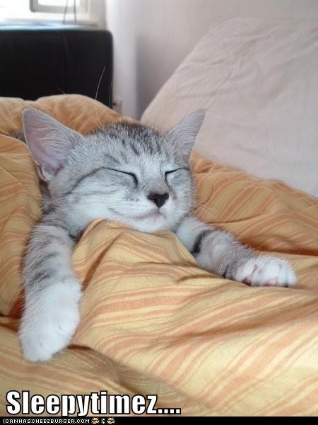 Sleepytimez....