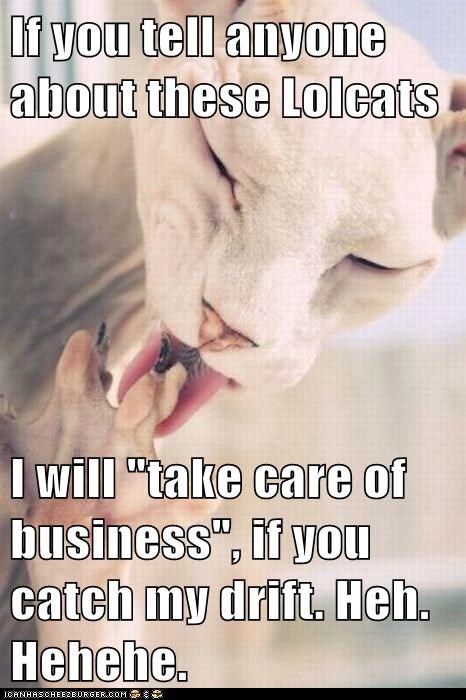If you tell anyone about these Lolcats  I will "take care of business", if you catch my drift. Heh. Hehehe.
