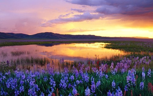 Camas Prairie, Idaho 