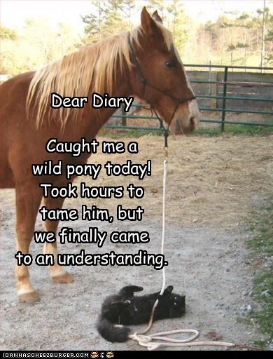 Dear Diary  Caught me a  wild pony today!  Took hours to tame him, but  we finally came  to an understanding.