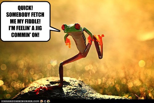 Animal Capshunz: Hurry, This One Won't Last Long