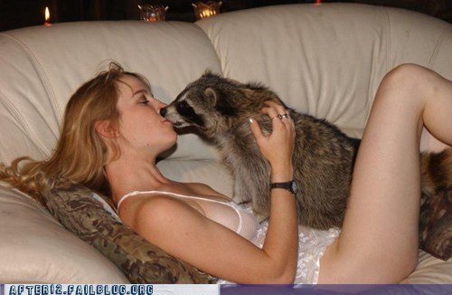 Crunk Critters: That Raccoon Has a Bandit Mask...