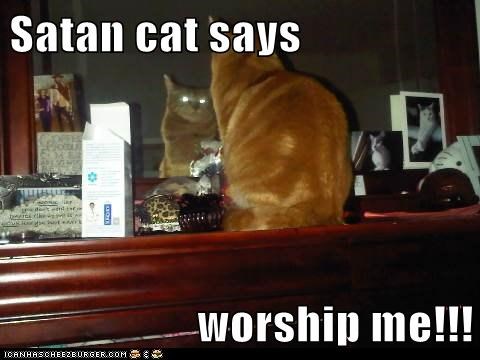 Satan cat says  worship me!!!