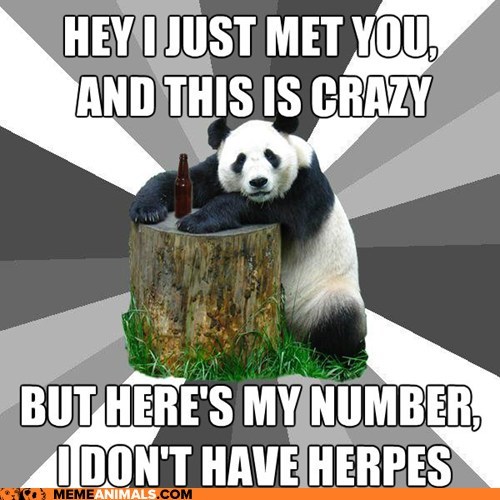 Animal Memes: Pickup Line Panda - Gotta Admit, It's Catchy