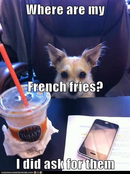 Where are my  French fries?  I did ask for them
