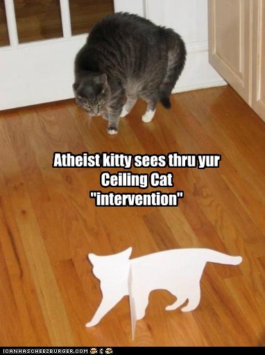 Atheist kitty 