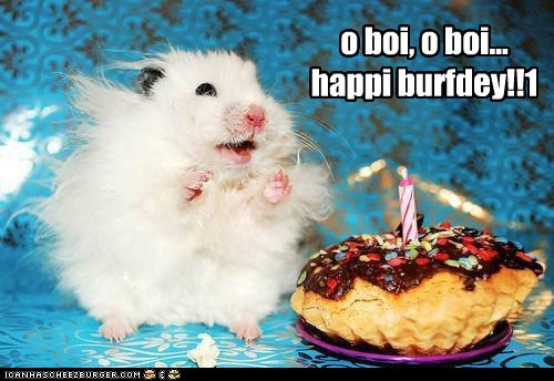 o boi, o boi... happi burfdey!!1