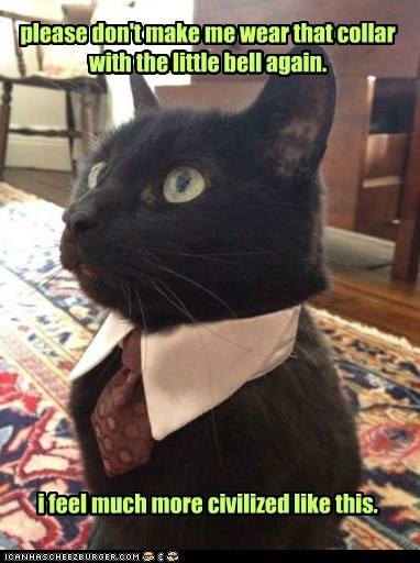 Lolcats: please don't make me wear that collar