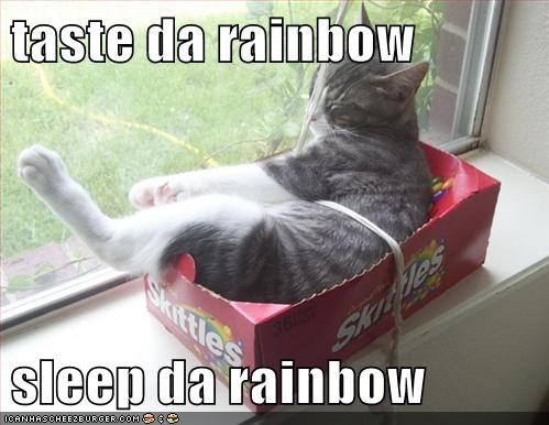 taste da rainbow  sleep da rainbow