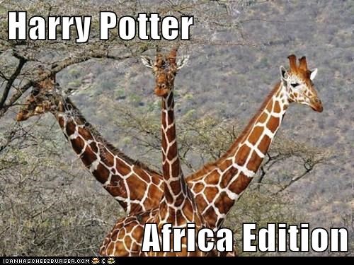 Harry Potter  Africa Edition