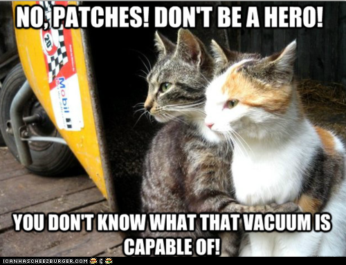 Restraining Cat: Now is Not the Time for Heroics!