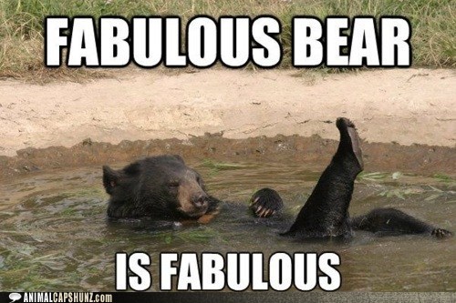 Animal Capshunz: Fabulous Bear