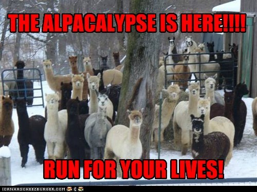 Animal Capshunz: We're Screwed