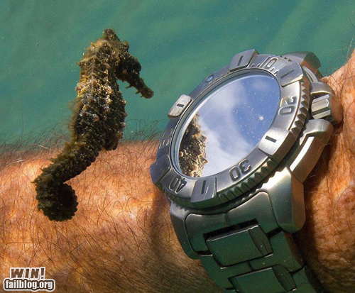 WIN!: Checking the Time WIN