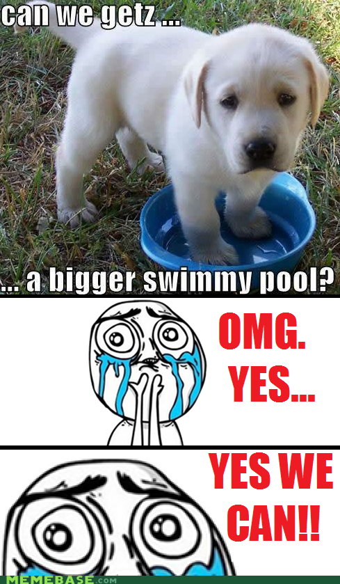 Then We Can Fill it Up With My Tears!