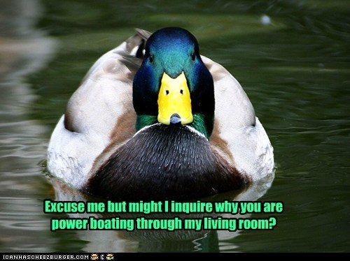 A Duck's Pond is His Castle