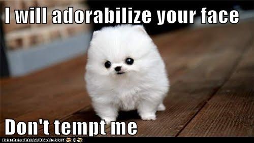 Activate Adorabilizers!