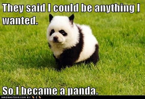 Iza panda