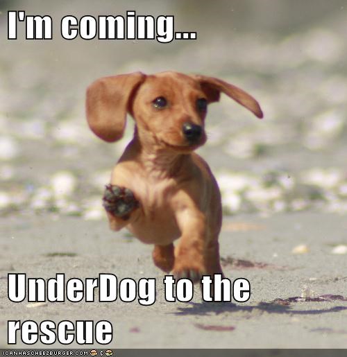 Under Dog 