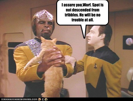 Why Worf Won't Cat-Sit