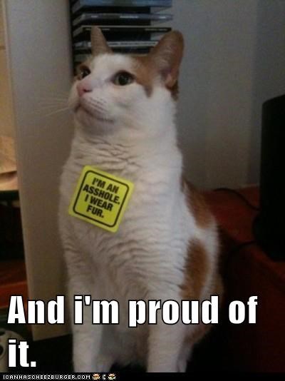 And i'm proud of it.