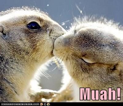 (Prairie) Puppy Love
