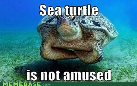 That Joke Belongs in Shell